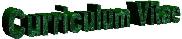 Curriculum Vitae - See what I can do